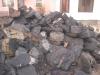 PRAHOVA VAND CARBUNI DE FOC (LIGNIT) PRAHOVA VAND CARBUNI DE FOC (LIGNIT)